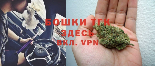 apvp Алексин