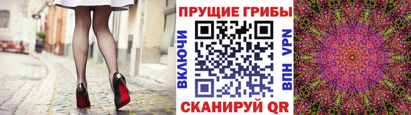 KRAKEN вход  Клин  Псилоцибиновые грибы мицелий 